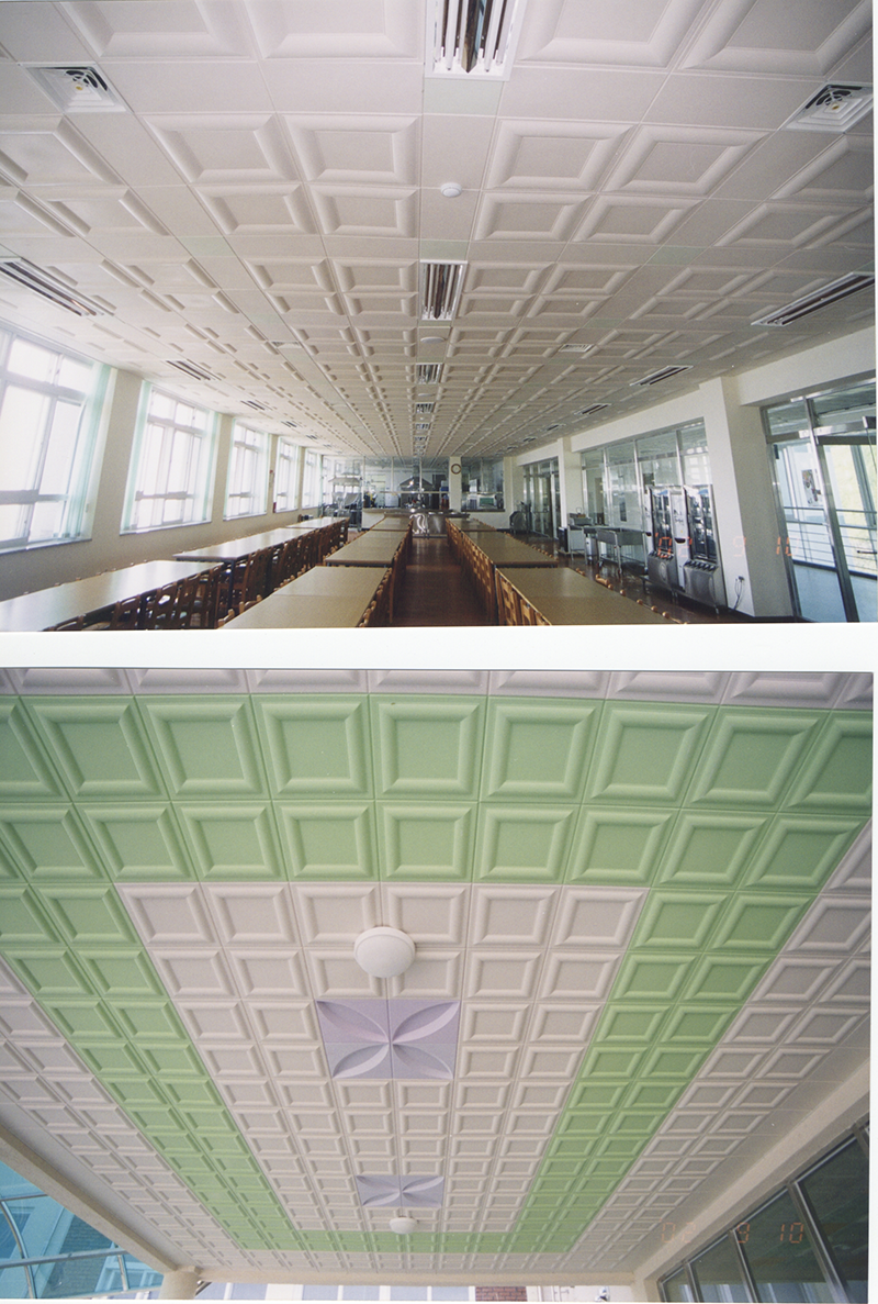 �B�T���l(f��)