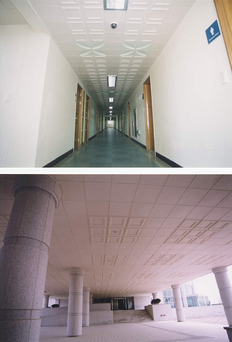 �Ϻ����V��(ch��ng)�L(zh��ng)�Ǽ��վƵ�